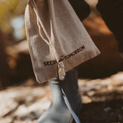 Children's Affirmation Cards & Quartz Crystal