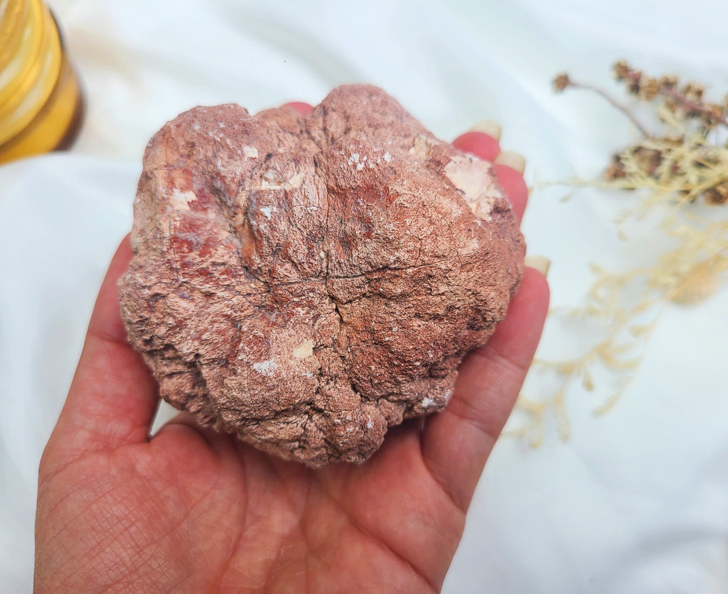Pink Amethyst Geode 01